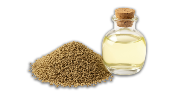 Carom Oil