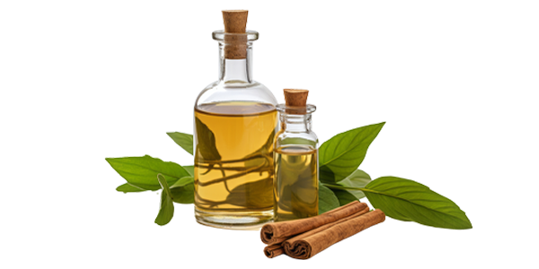 Cinnamon bark Oil