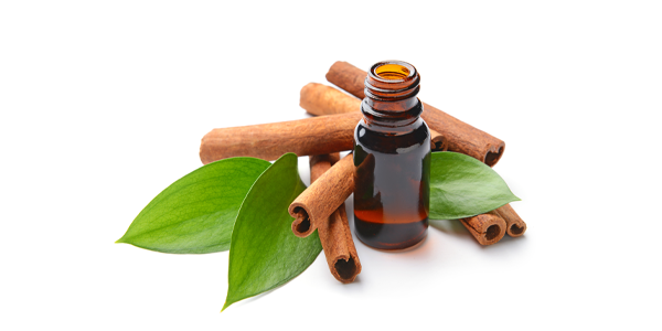 Cinnamon leaf Oil
