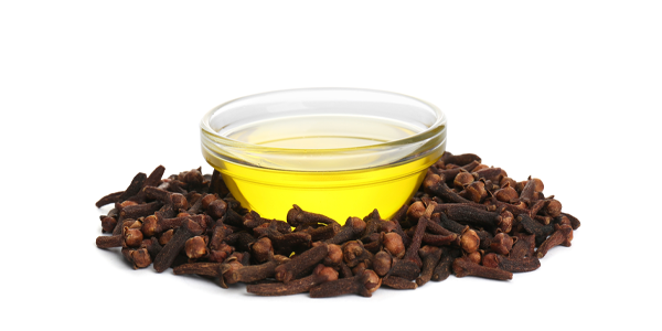 Clove bud Oil