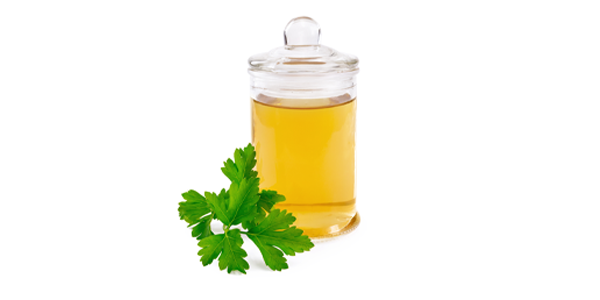 Coriander Oil