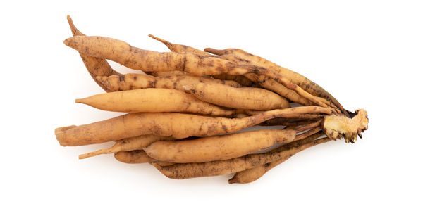 Asparagus Racemosus Extract
